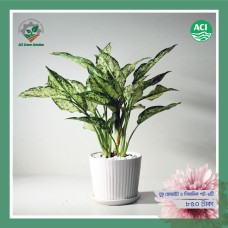 কীটনাশক