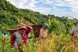 র ব্যবস্থাপনা পরিচালক  “সঠিক পদ্ধতিতে ফসলের সমস্যা নির্ধারণের মাধ্যমে